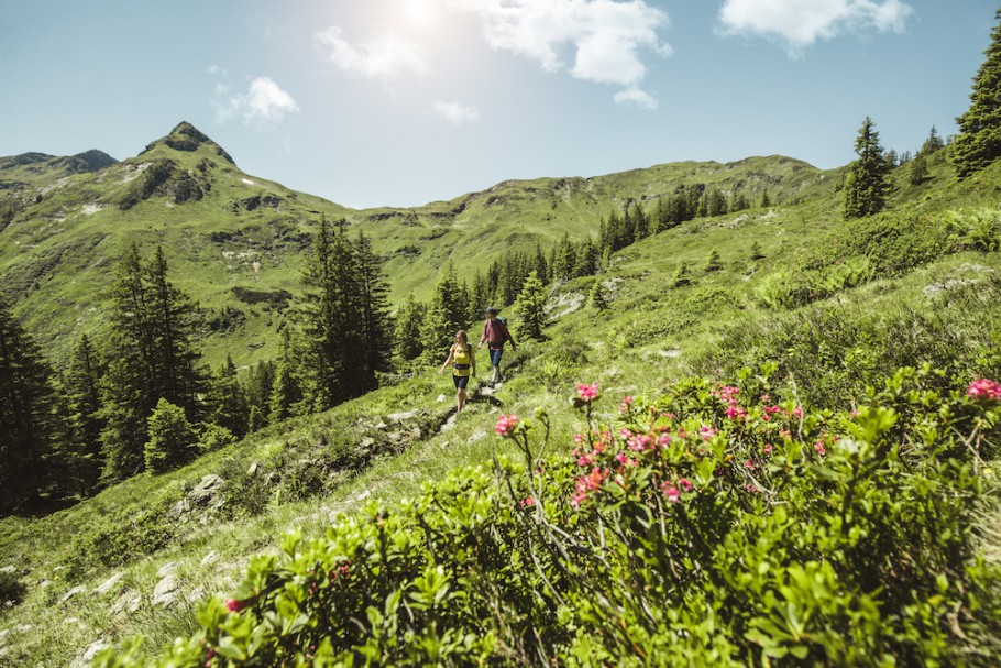 Wandern _ Hiking in Saalbach Hinterglemm 5472x3648