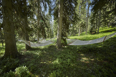 Waldwellness (c) saalbach.com, Daniel Roos (11)